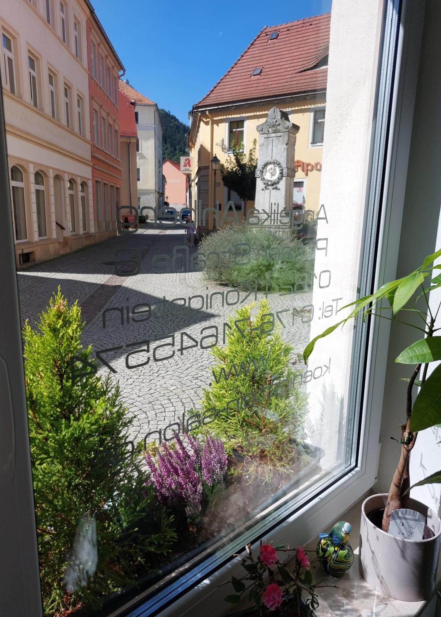 Luxurioese Ferienwohnungen Königstein Esterno foto